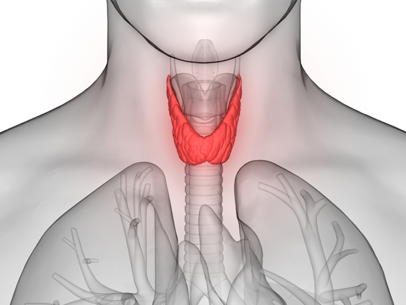Dr. Robledo Alievi Cirurgião; cirurgião de cabeça e pescoço RS; ablação percutânea de nódulo de tireoide; cirurgia para câncer de tireoide; tratamento câncer de pele no rosto; cirurgia de nódulo na tireoide; Clínica Vitaro Ijuí RS; reconstrução facial pós câncer de pele; especialista em câncer de laringe; cirurgia de glândulas salivares; tratamento minimamente invasivo tireoide; segunda opinião para cirurgia de cabeça e pescoço; oncologia cirúrgica Ijuí; malformação congênita no pescoço tratamento; telemedicina cirurgião de cabeça e pescoço;lesões na laringe;rouquidão persistente;reconstrução facial;carcinoma basocelular;manchas e sinais no rosto;ablação percutânea;nódulo na tireoide;caroço no pescoço